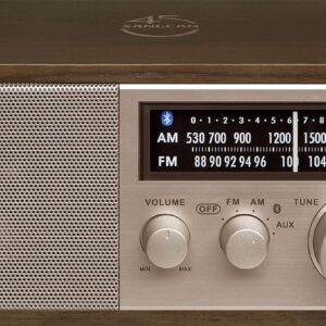 ByronStatics Portable Radio AM FM, Vintage Retro Radio